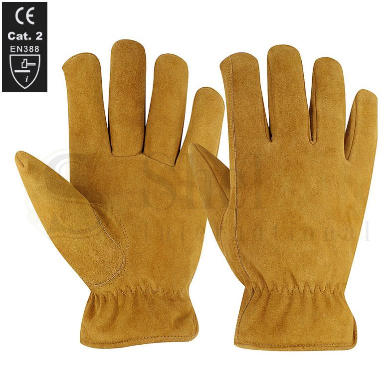 Driving Gloves